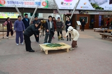 정선5일장 